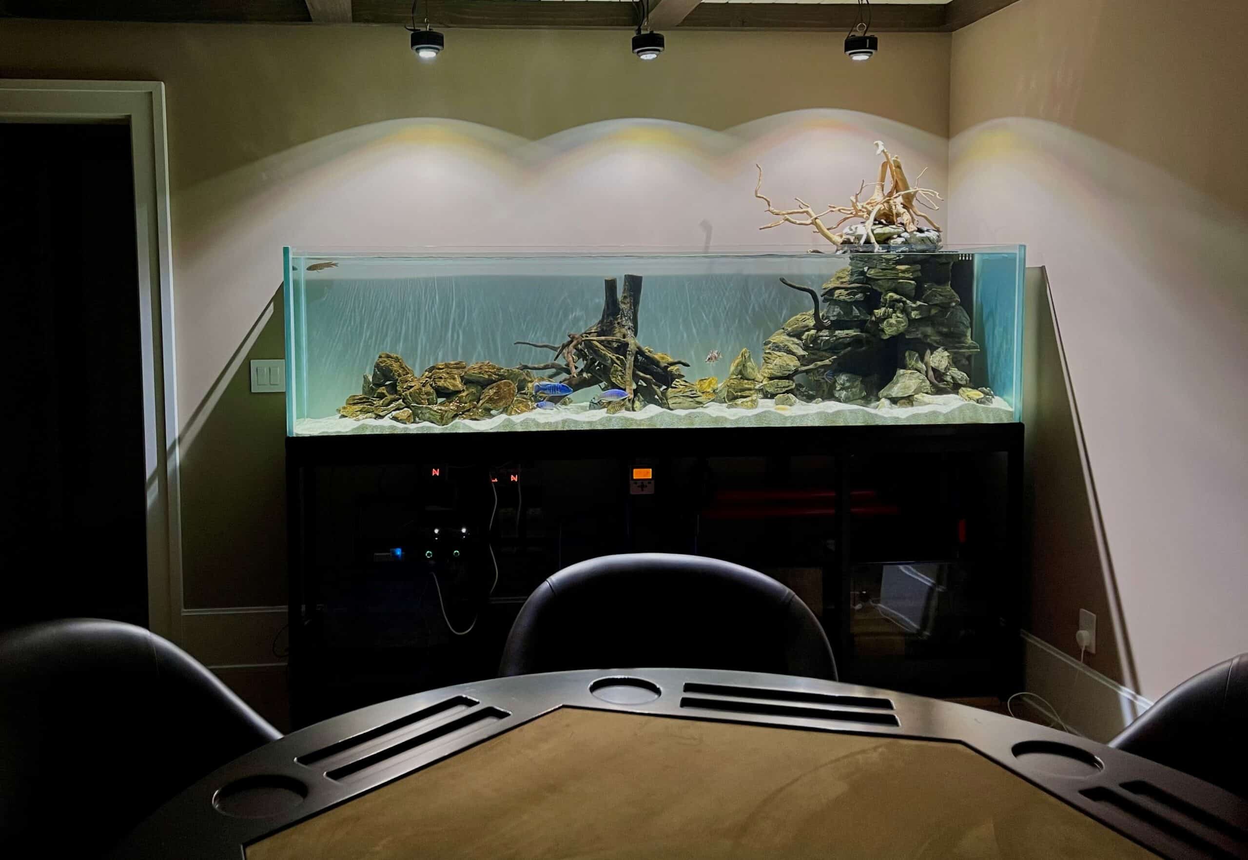 Fish Tank Cleaning Service Babylon, NY Fluid Dynamics