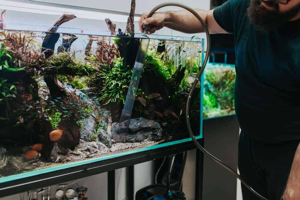 Fish Tank Cleaning Service Old Field, NY Fluid Dynamics