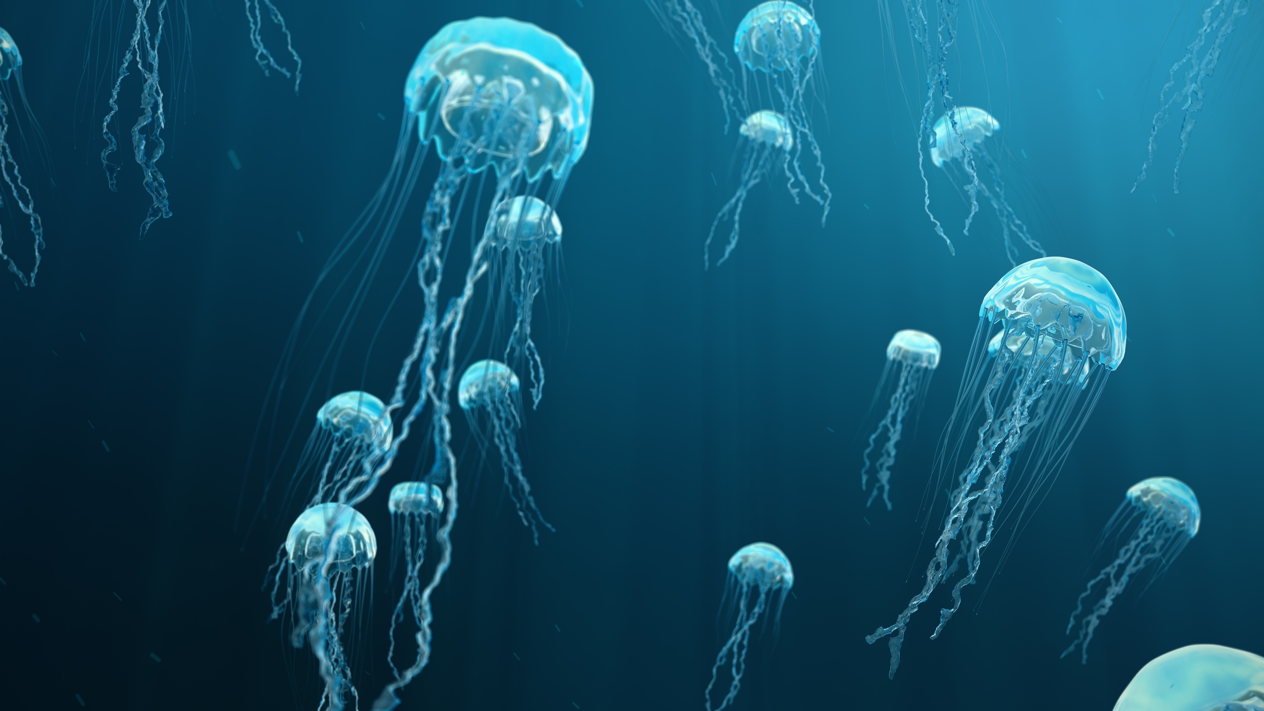Jellyfish water
