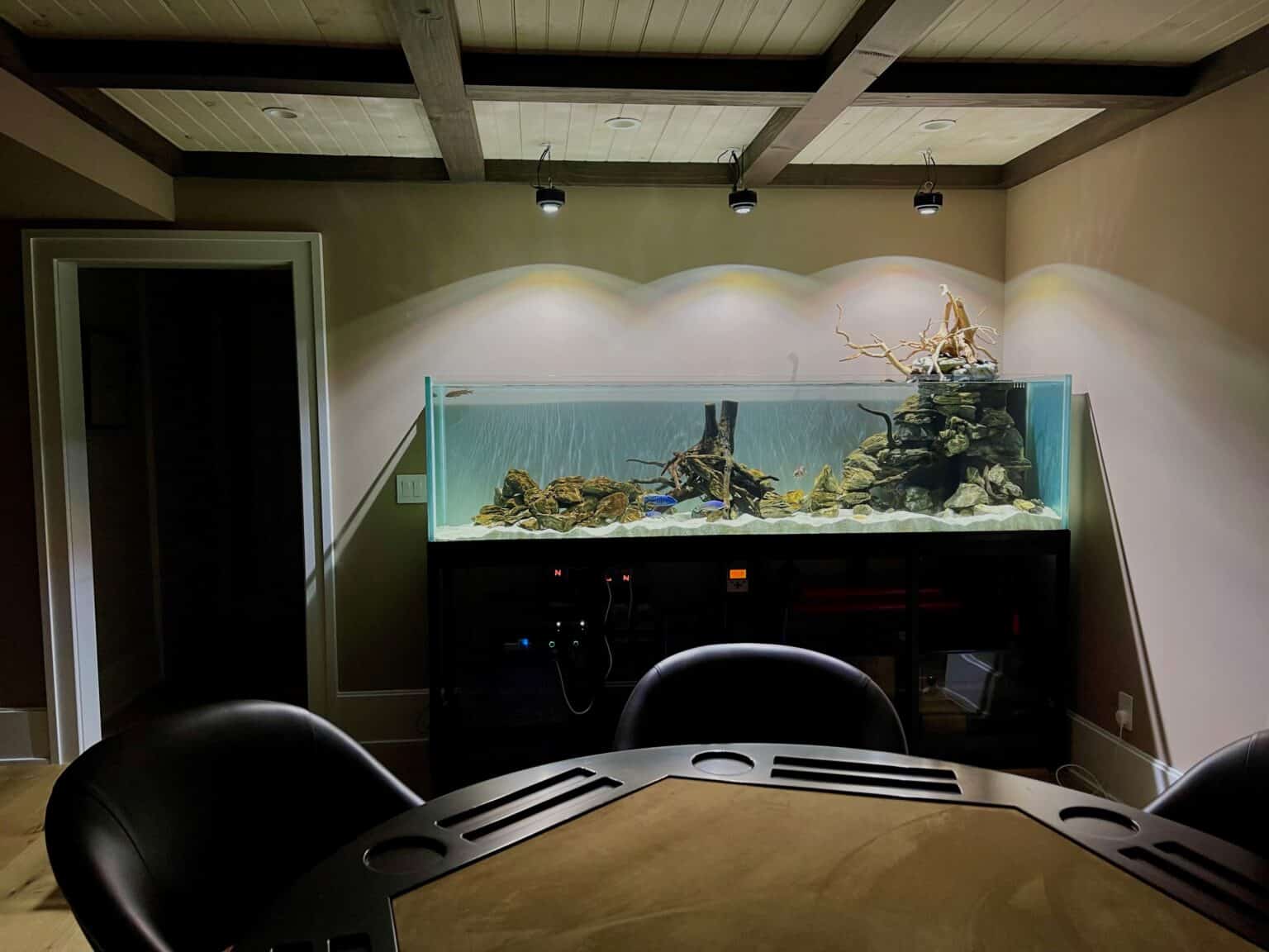 Aquarium Store Long Island Long Island Aquarium Services